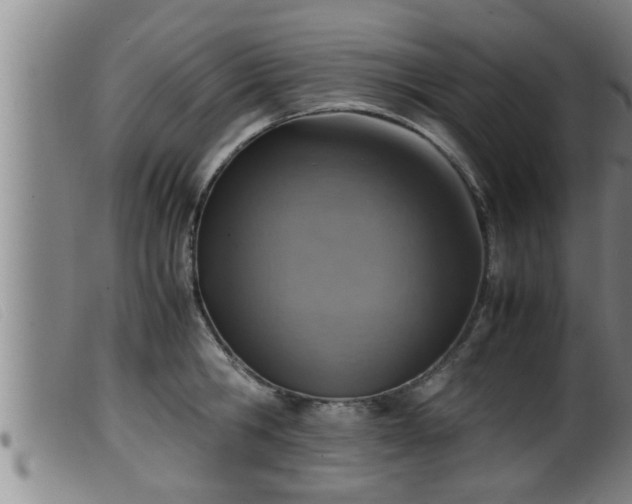 X0000099530806200805231101