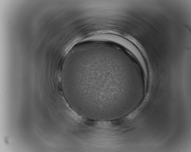 X0000099530809200805231101
