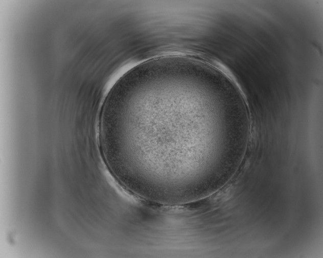 X0000099530811200805231101
