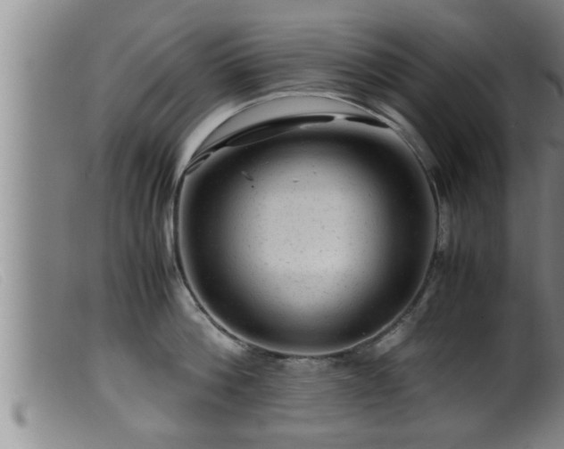 X0000099530812200805231101