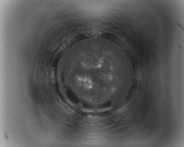X0000099530818200805231100