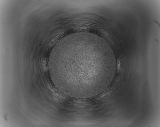 X0000099530819200805231100