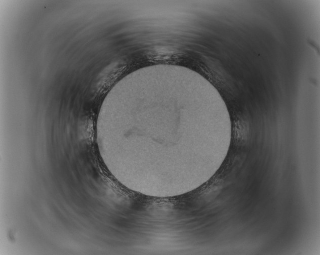 X0000099530820200805231100