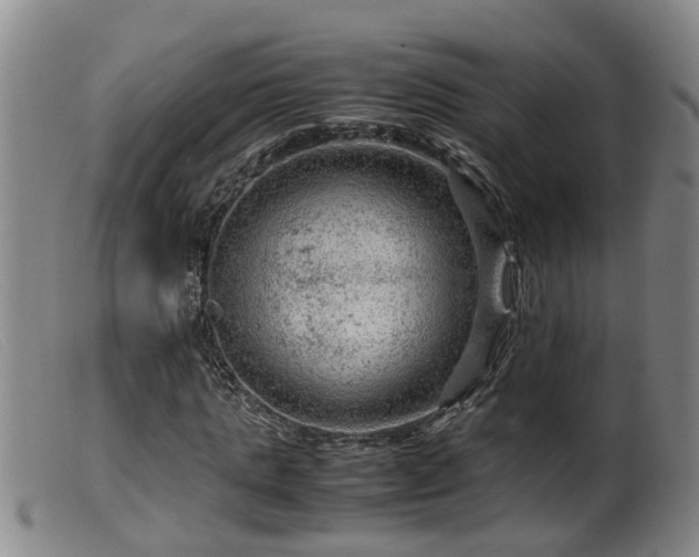 X0000099530821200805231100