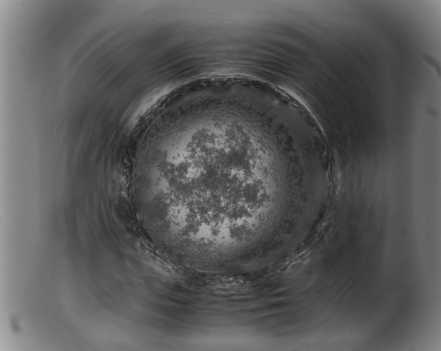 X0000099530823200805231100