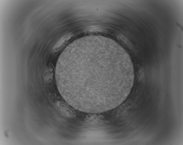 X0000099530824200805231100