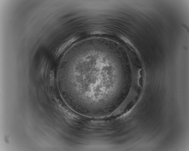 X0000099530825200805231100