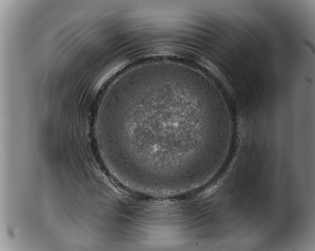 X0000099530826200805231100