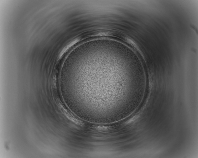 X0000099530827200805231100