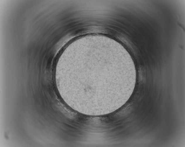 X0000099530828200805231100