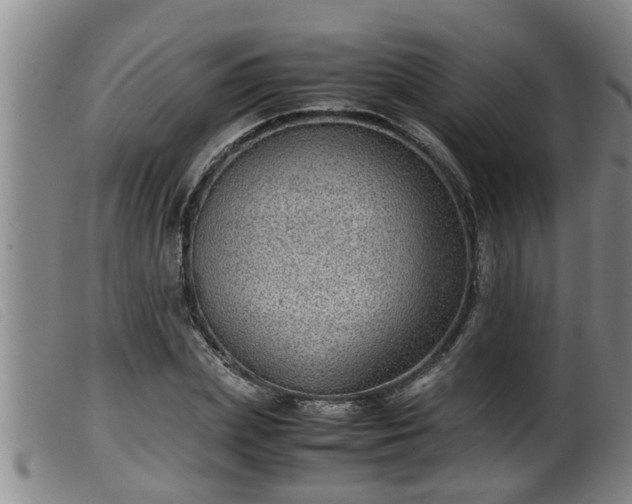 X0000099530831200805231100