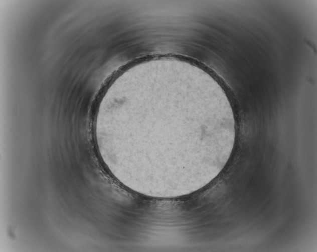 X0000099530832200805231100