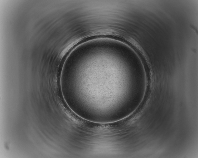 X0000099530834200805231100