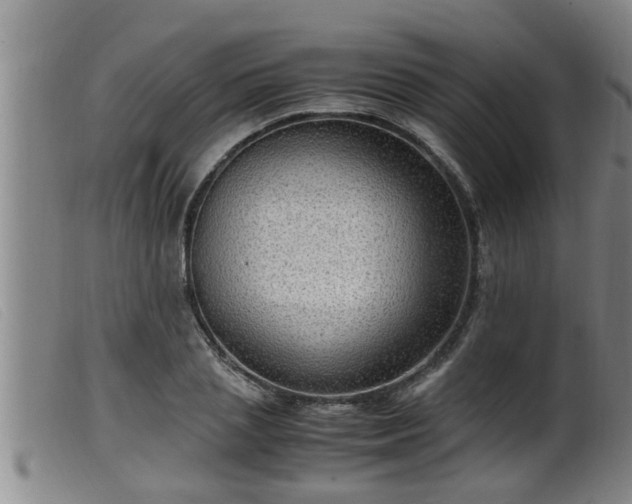 X0000099530837200805231100