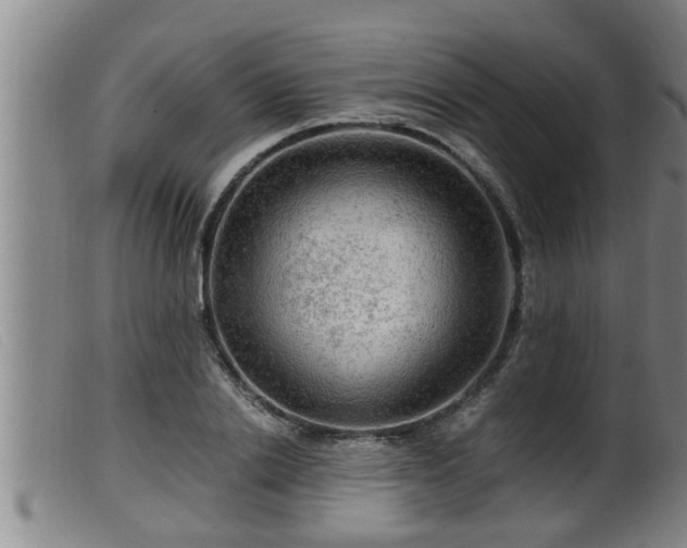 X0000099530838200805231100