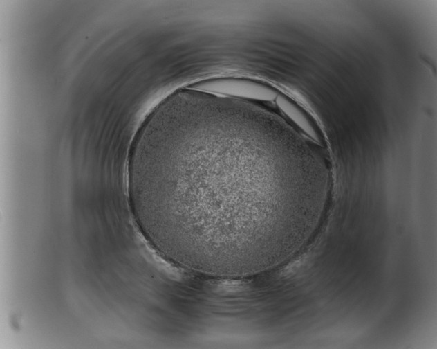 X0000099530839200805231100