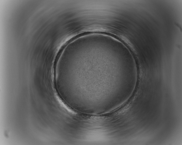 X0000099530840200805231100