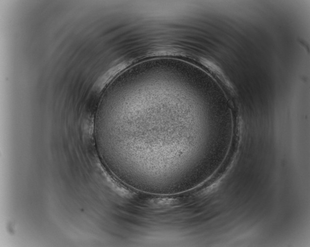 X0000099530841200805231100