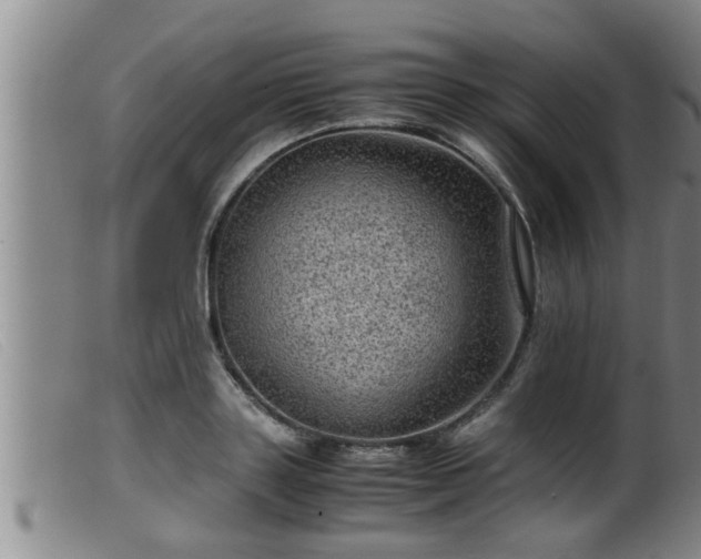 X0000099530843200805231100