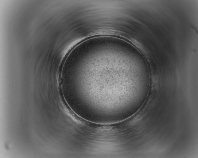 X0000099530846200805231100