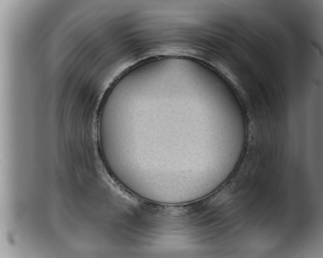 X0000099530848200805231100