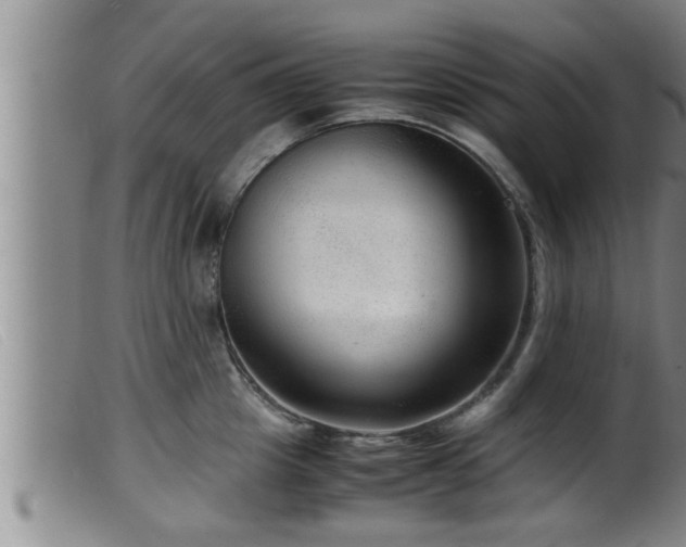 X0000099530857200805231100