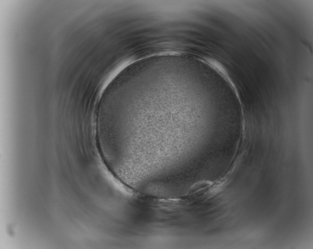 X0000099530859200805231100