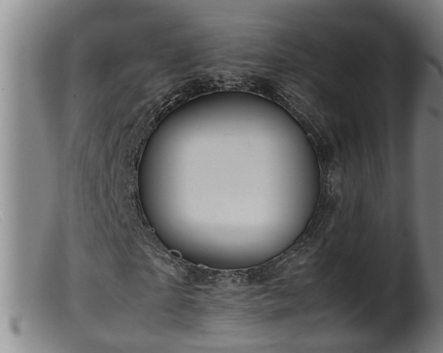 X0000099530865200805231100