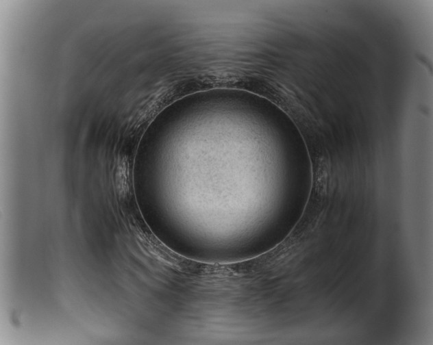 X0000099530866200805231100