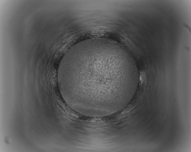 X0000099530867200805231100