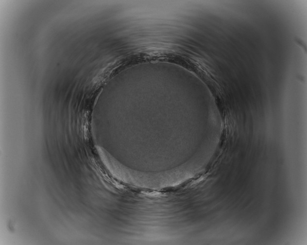 X0000099530868200805231100