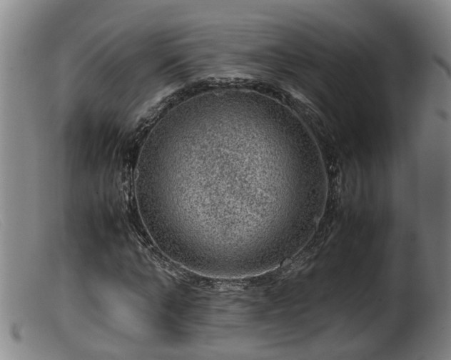 X0000099530870200805231100