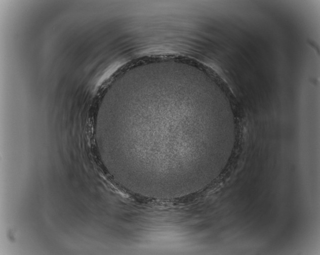 X0000099530871200805231100
