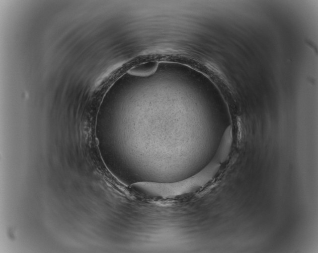 X0000099530872200805231100