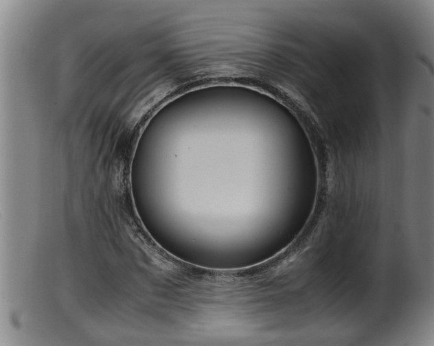 X0000099530873200805231100