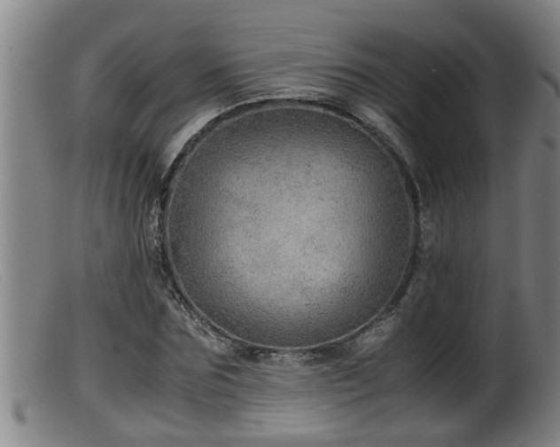 X0000099530875200805231100