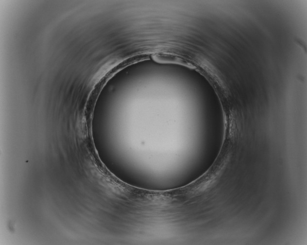 X0000099530876200805231100