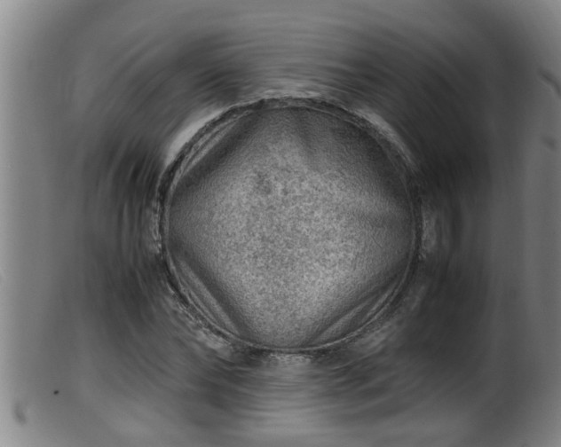 X0000099530878200805231100