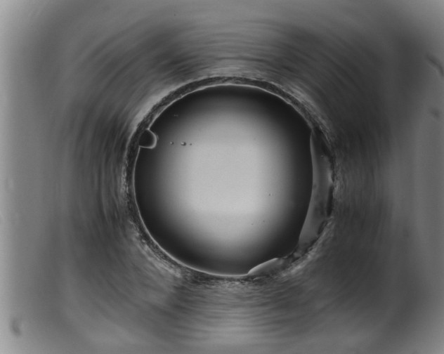 X0000099530880200805231059