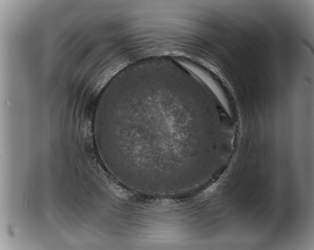 X0000099530881200805231059