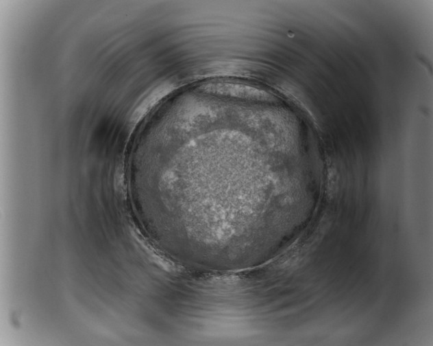 X0000099530882200805231059