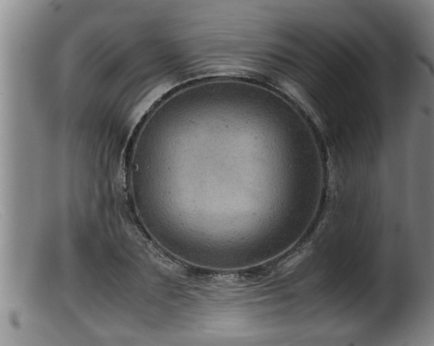 X0000099530883200805231059