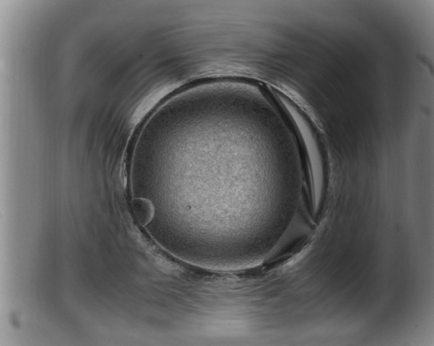 X0000099530885200805231059