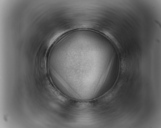 X0000099530886200805231059