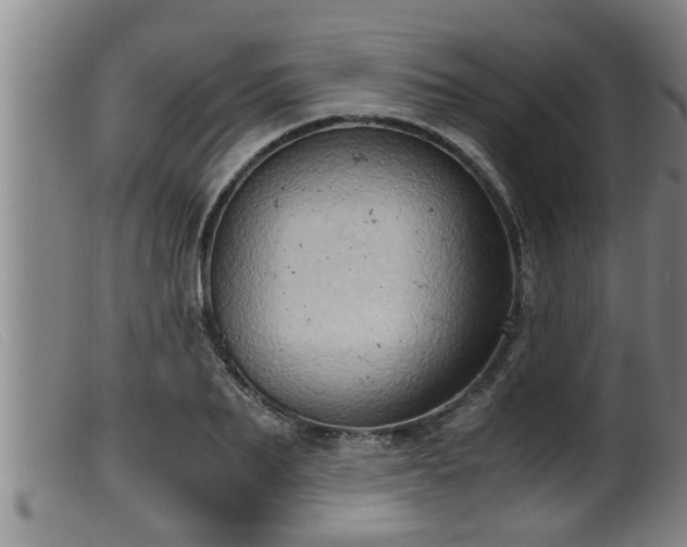 X0000099530887200805231059