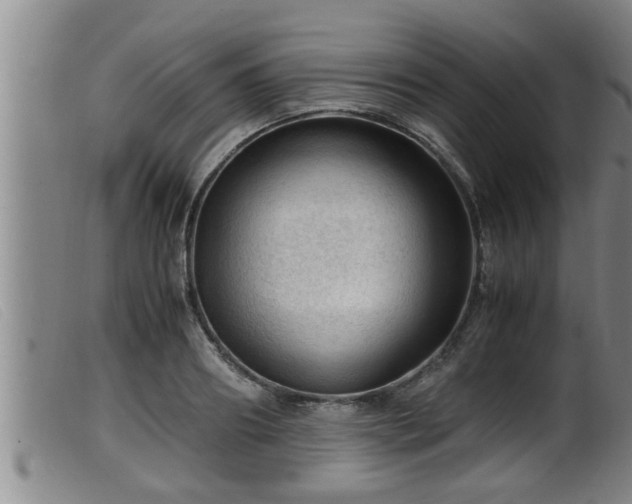 X0000099530890200805231059