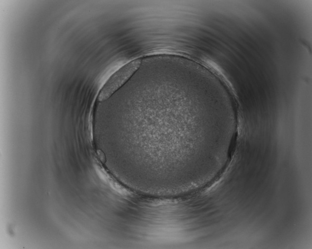 X0000099530892200805231059