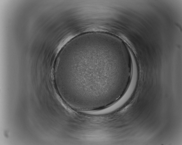 X0000099530893200805231059