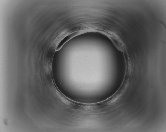 X0000099530897200805231059