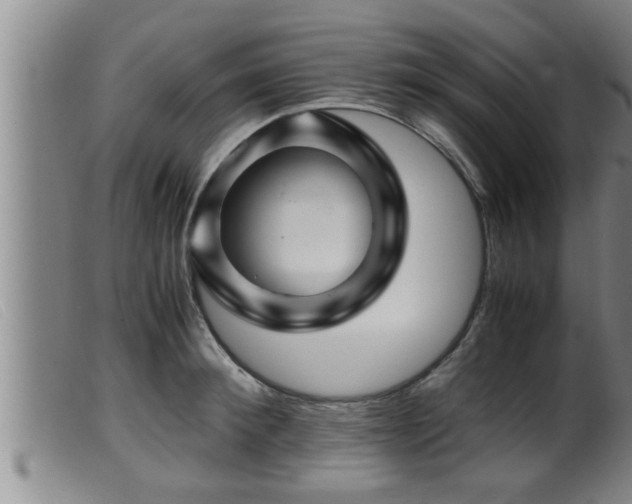 X0000099530900200805231059
